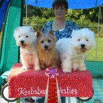 Christel mit den Hunden